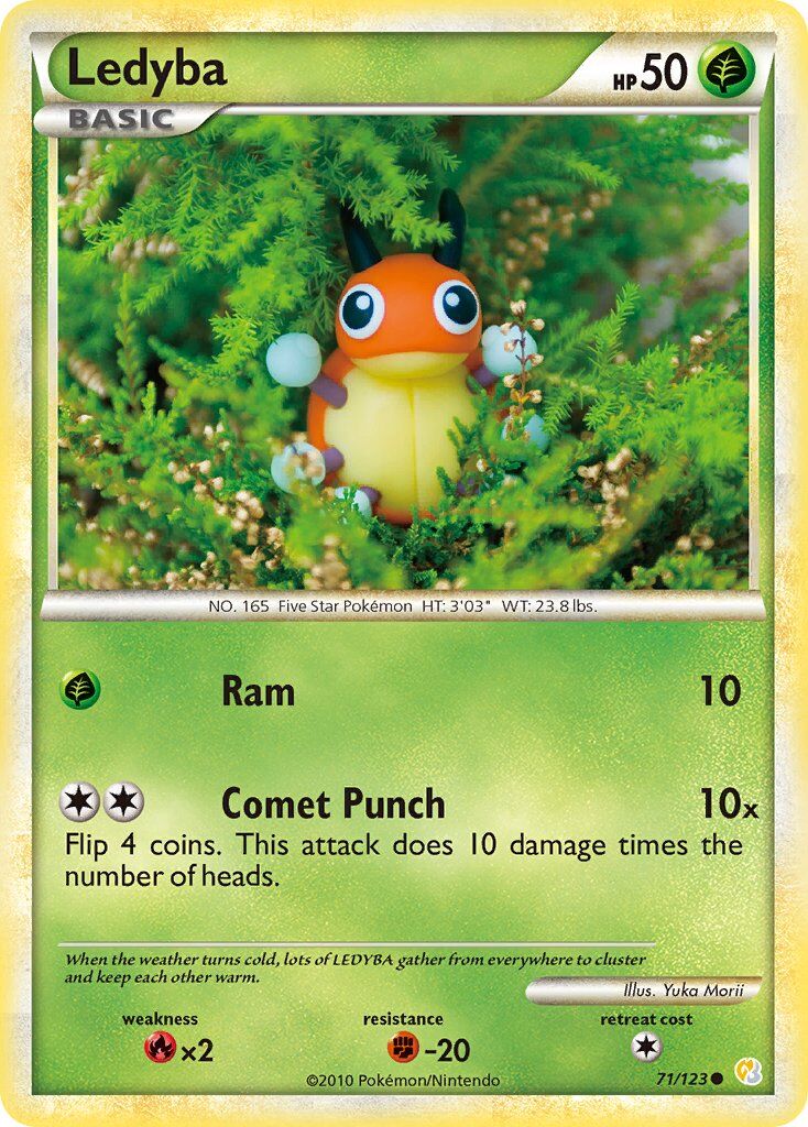 Ledyba - 71/123 - EN