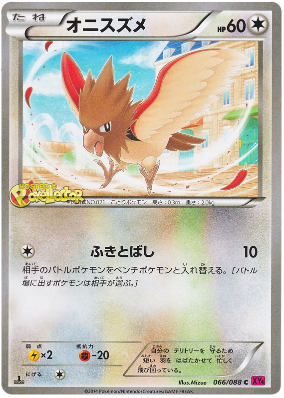 Spearow - XY4 066/088 - JP