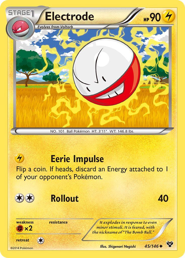 Electrode - 45/146 - EN Electrode - 45/146 - EN