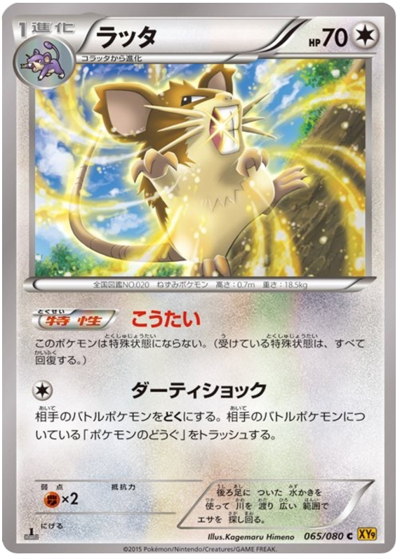 Raticate - XY9 065/080 - JP