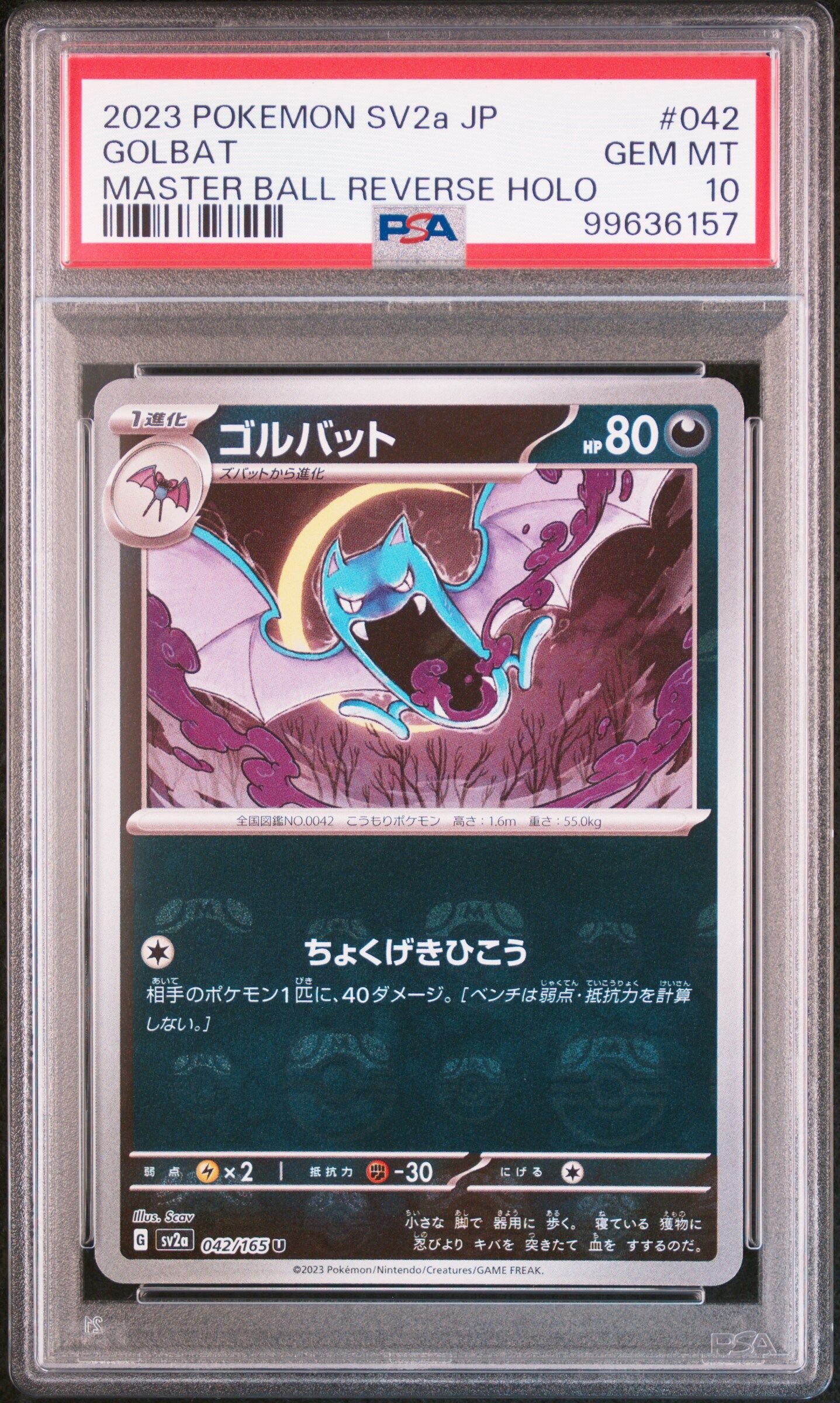 2023 POKEMON JAPANESE SV2A-POKEMON 151 #042 GOLBAT MASTER BALL REVERSE HOLO - PSA 10 GEM-MT - Pokémon 2023 POKEMON JAPANESE SV2A-POKEMON 151 #042 GOLBAT MASTER BALL REVERSE HOLO - PSA 10 GEM-MT - Pokémon