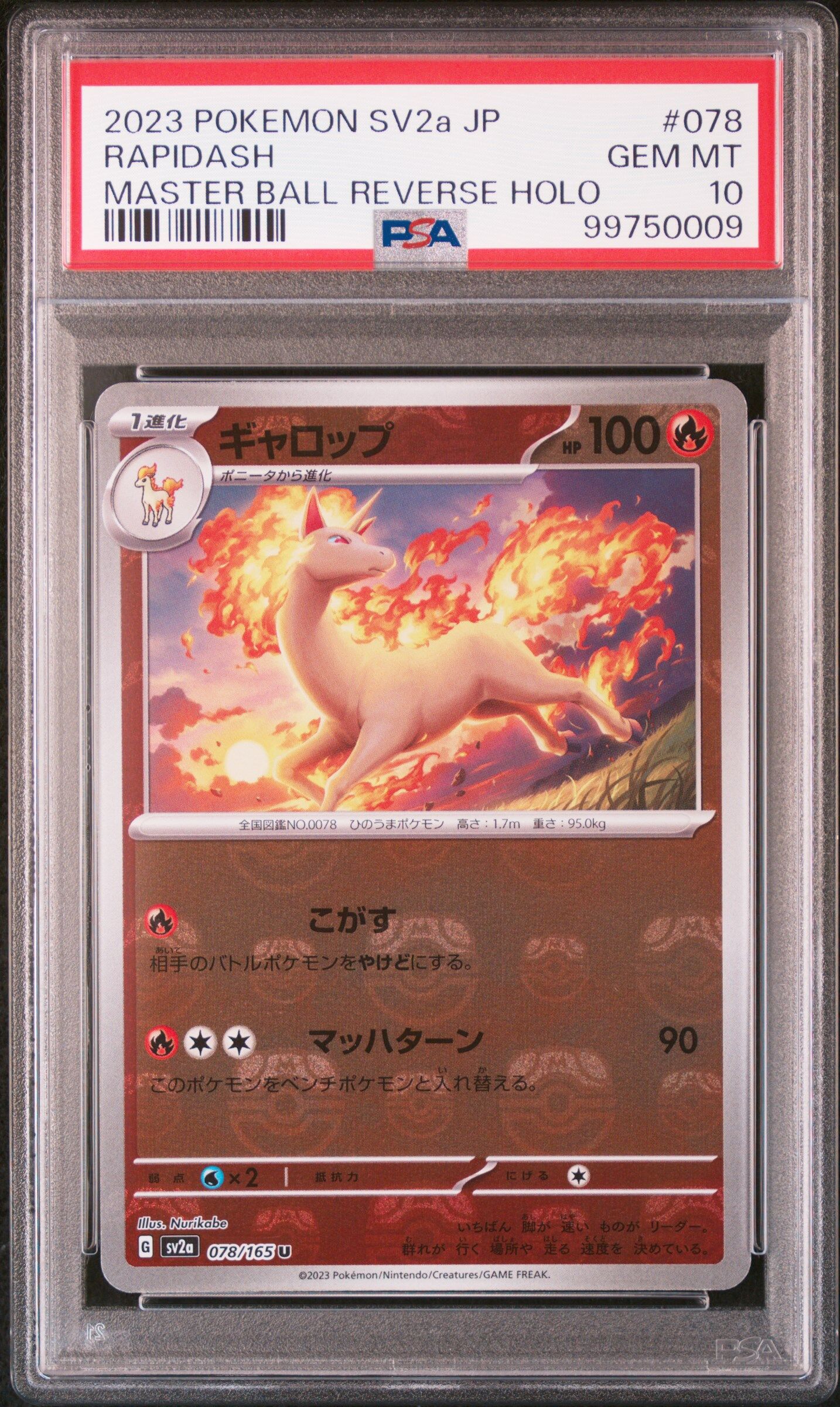 2023 POKEMON JAPANESE SV2A-POKEMON 151 #078 RAPIDASH MASTER BALL REVERSE HOLO - PSA 10 GEM-MT - Pokémon 2023 POKEMON JAPANESE SV2A-POKEMON 151 #078 RAPIDASH MASTER BALL REVERSE HOLO - PSA 10 GEM-MT - Pokémon