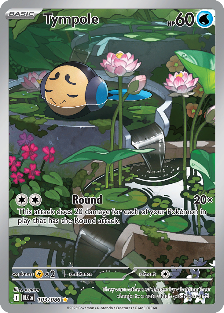 Tympole - 103/086 - EN