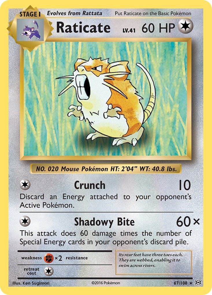 Raticate - 67/108 - EN
