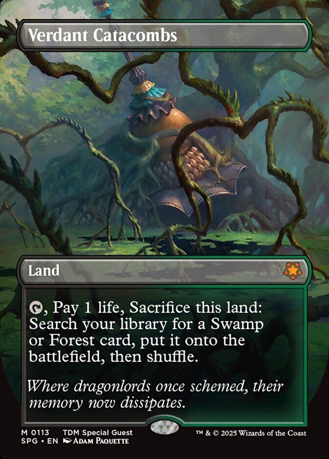 Verdant Catacombs - SPG 113 - Foil - EN - NM