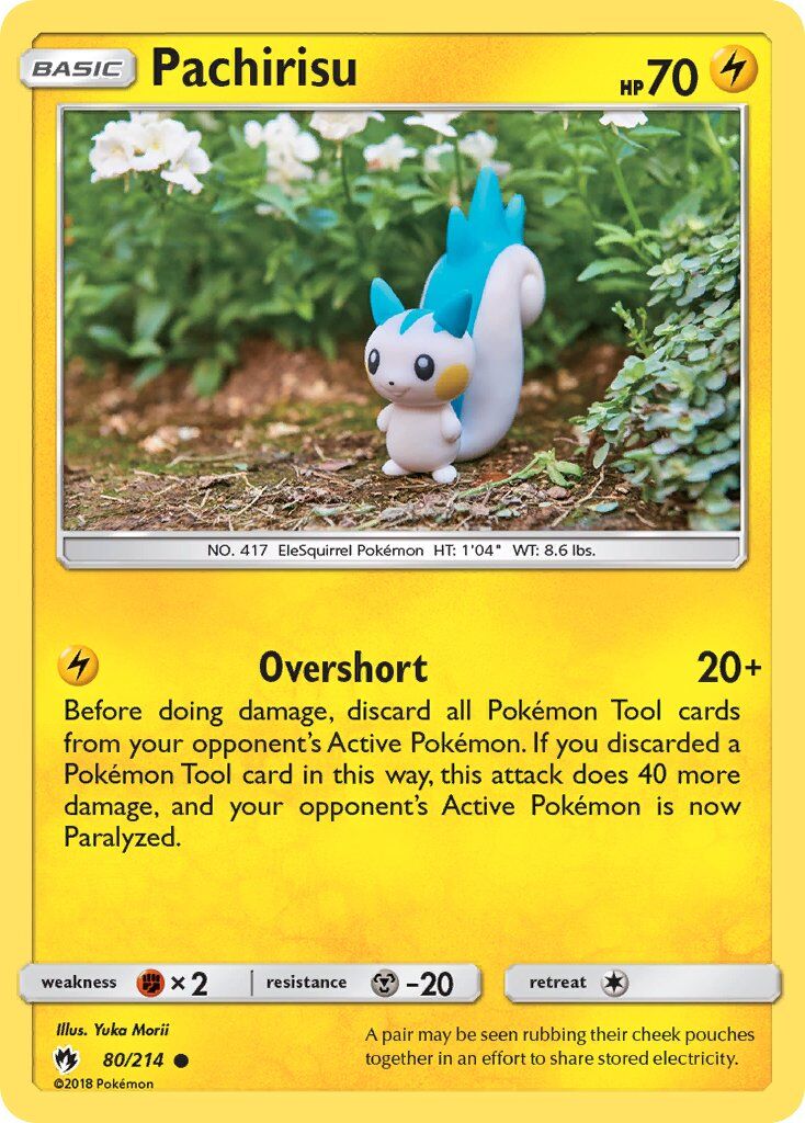 Pachirisu - 80/214 - EN