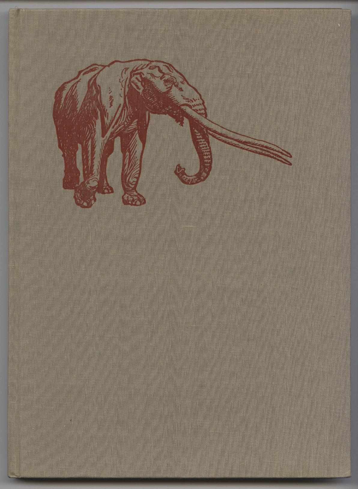 urzeitliche_kolosse_buch