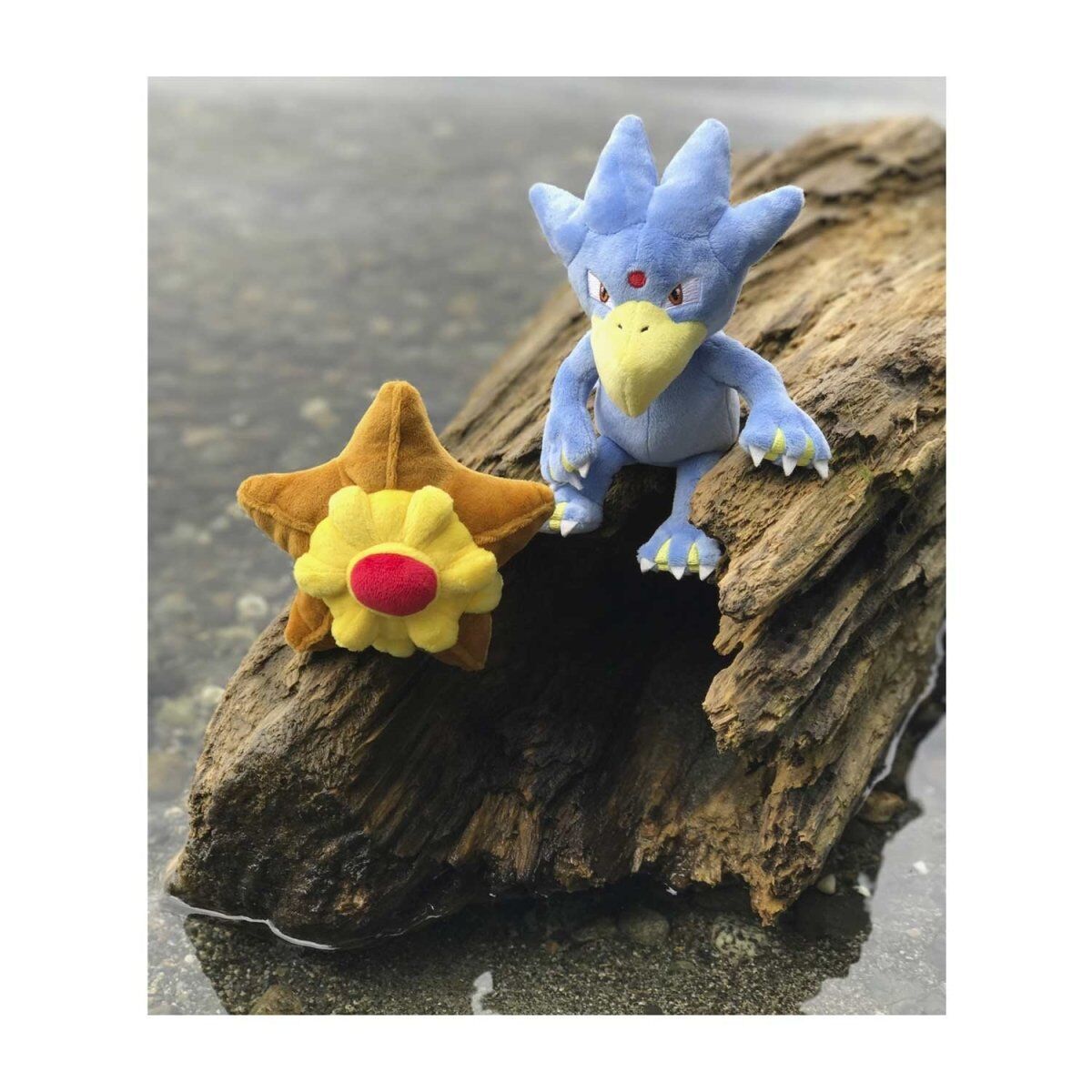 Staryu Sitting Cuties Plush - 14 cm