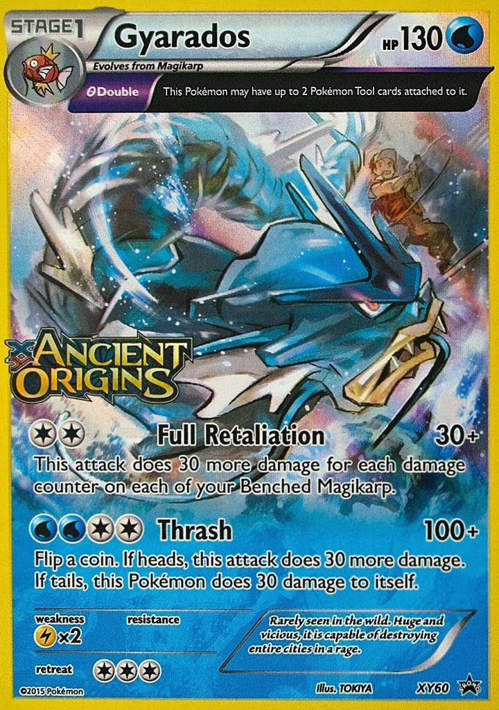 Gyarados - XY60 - EN