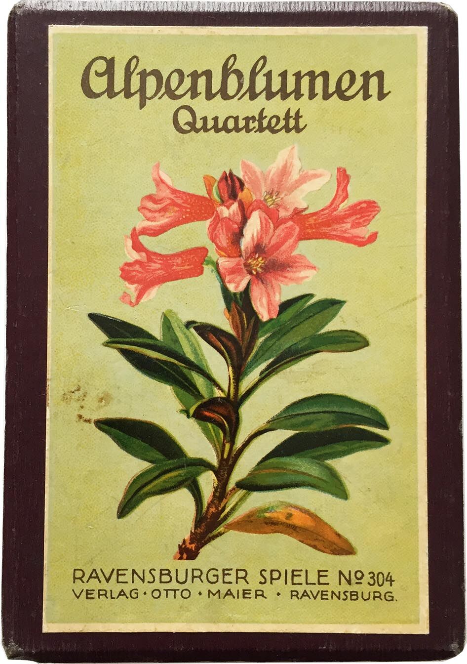 alpenblumen_quartett Alpenblumen Quartett
