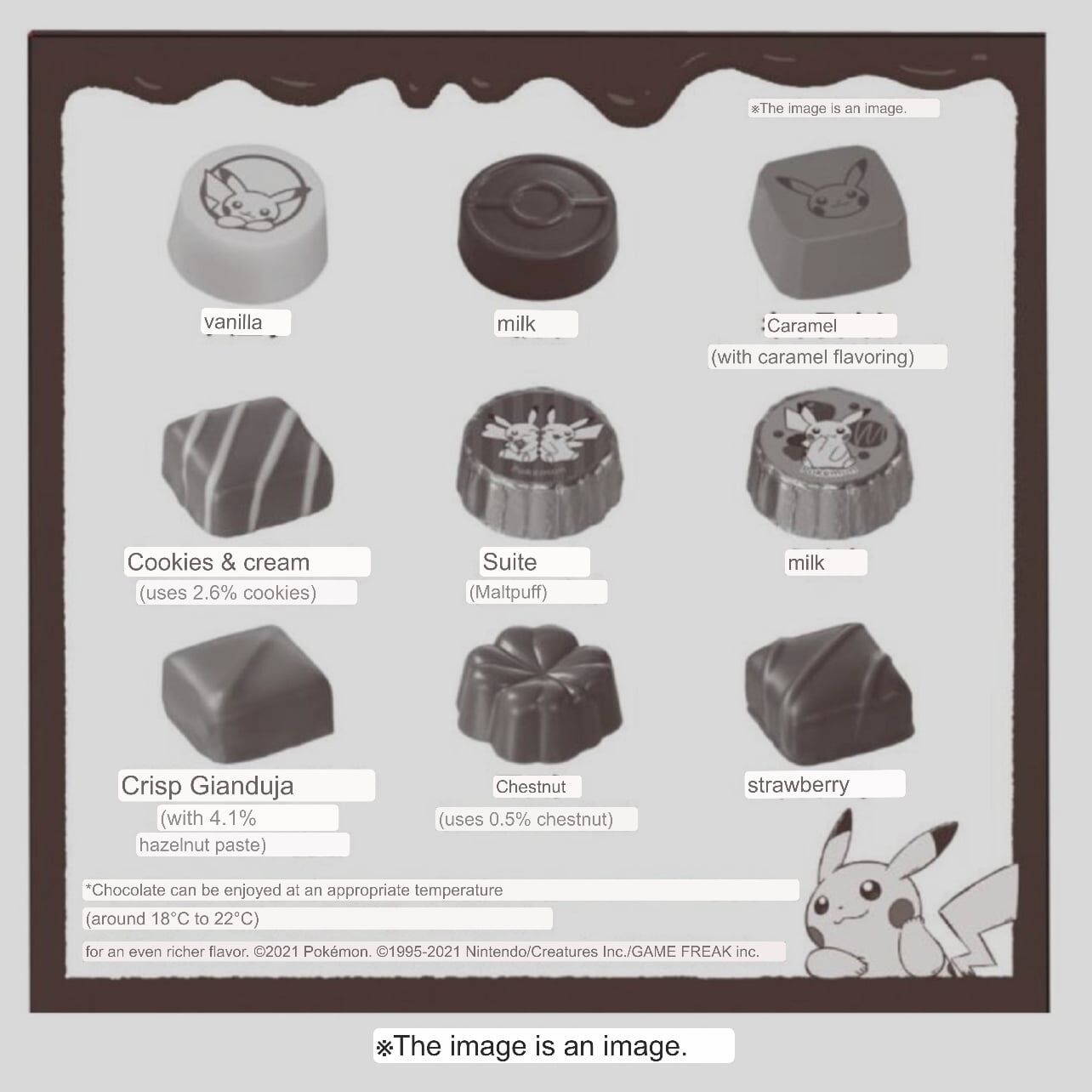Pokemon Center Original Pikachu Chocolate
