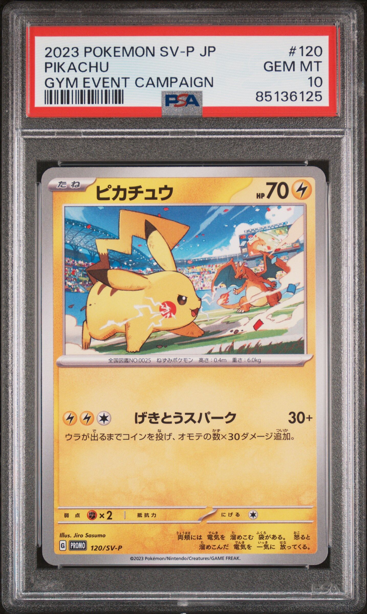 Pikachu 120/SV-P - Japanese Promo Gym Event Campaign - PSA 10 GEM-MT - Pokémon Pikachu 120/SV-P - Japanese Promo Gym Event Campaign - PSA 10 GEM-MT - Pokémon