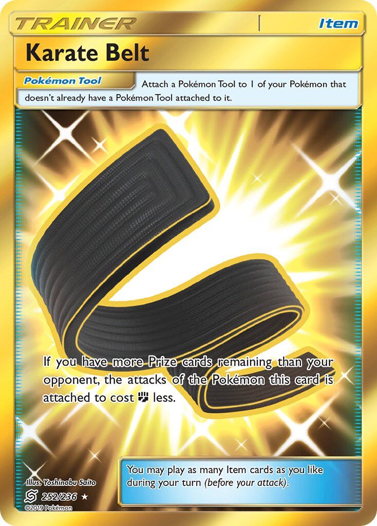 Karate Belt - 252/236 - EN