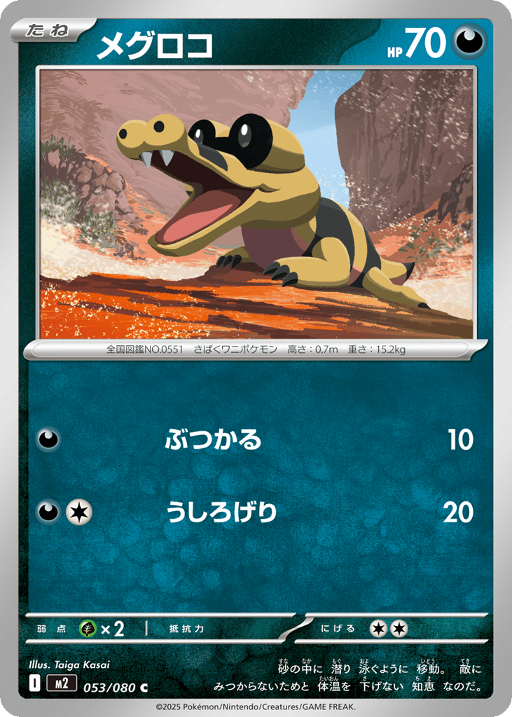 Sandile - m2 053/080 - JP