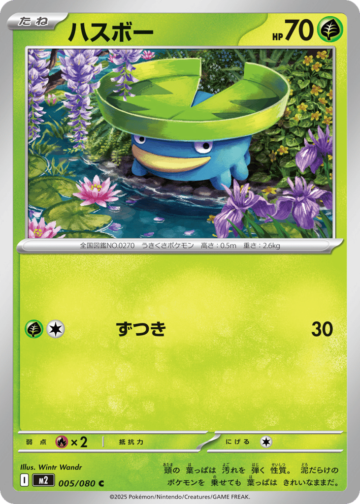 Lotad - m2 005/080 - JP Lotad - m2 005/080 - JP