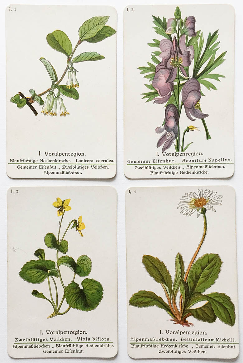 Alpenblumen Quartett