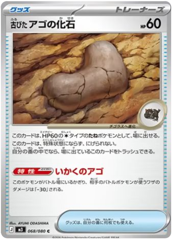 Jaw Fossil - m3 068/080 - JP