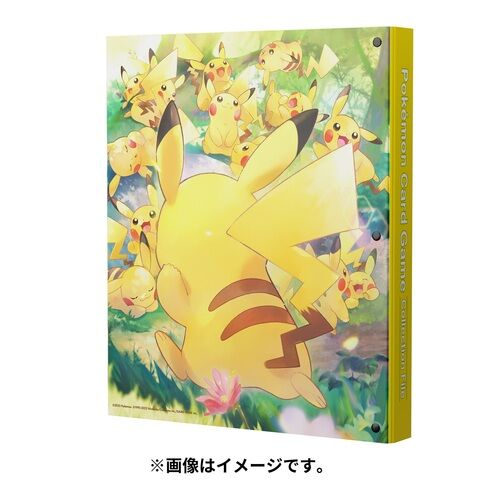 Pikachu große Sammlung Ordner 