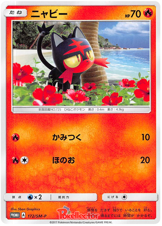 Litten - SM-P 172 - JP