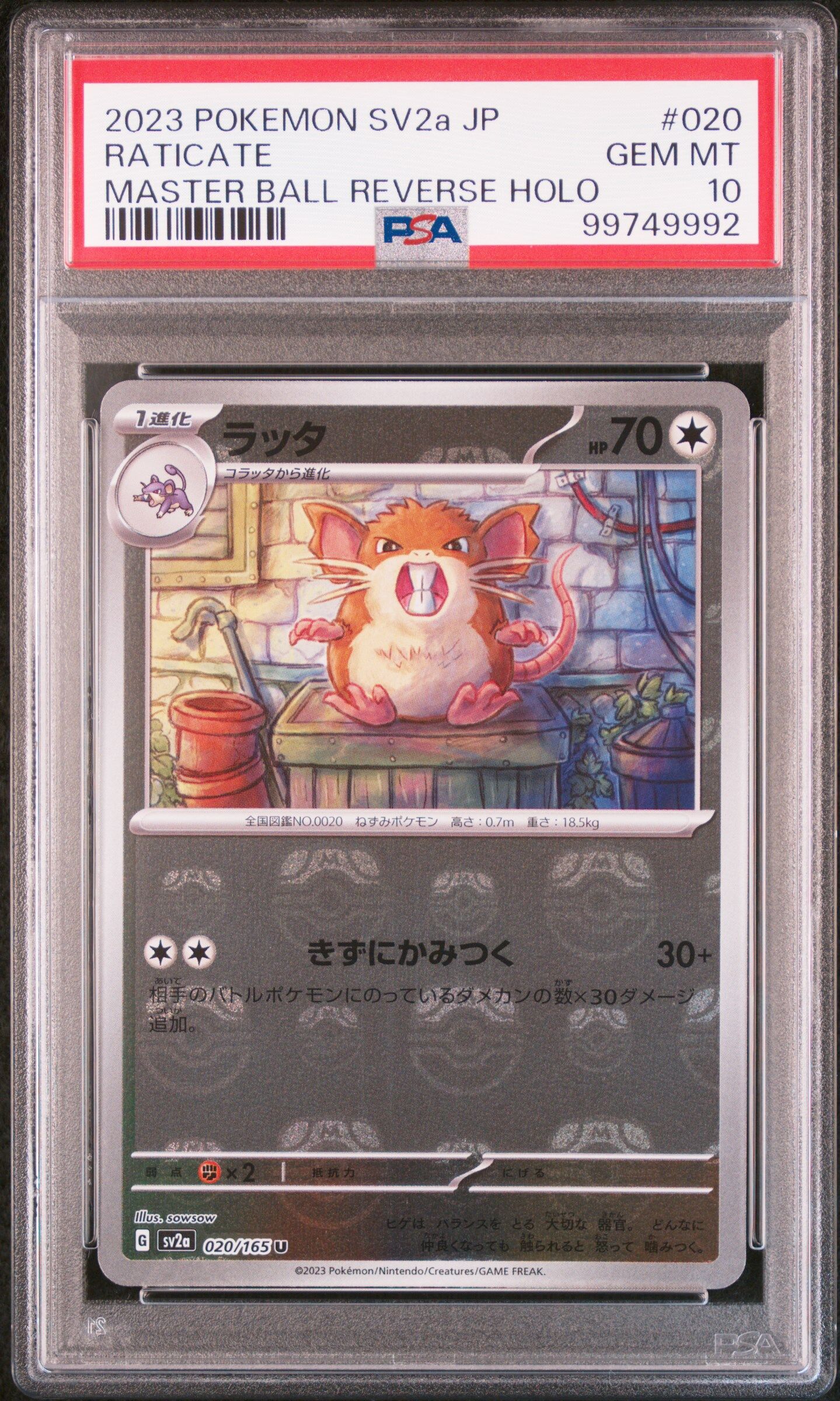 2023 POKEMON JAPANESE SV2A-POKEMON 151 #020 RATICATE MASTER BALL REVERSE HOLO - PSA 10 GEM-MT - Pokémon