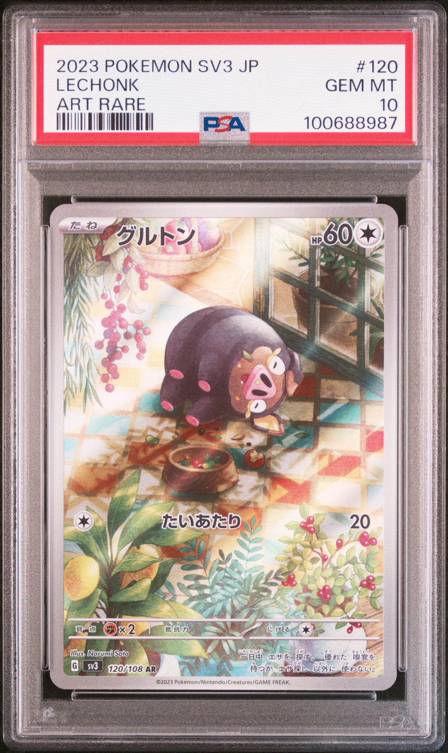 2023 POKEMON JAPANESE SV3-RULER OF THE BLACK FLAME #120 LECHONK ART RARE - PSA 10 GEM-MT - Pokémon 2023 POKEMON JAPANESE SV3-RULER OF THE BLACK FLAME #120 LECHONK ART RARE - PSA 10 GEM-MT - Pokémon