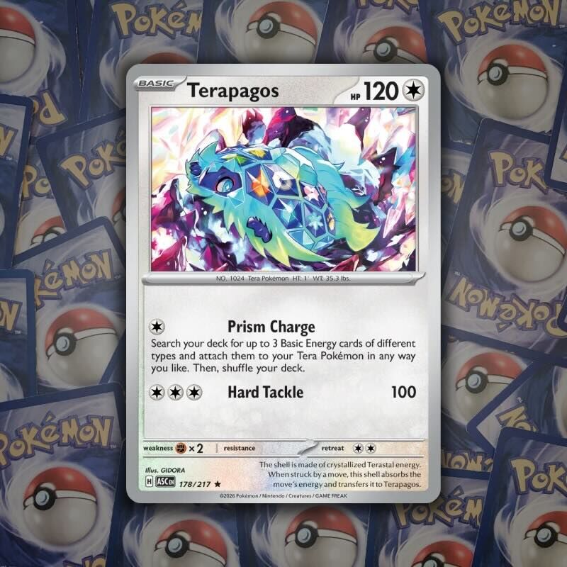 Terapagos Pokémon card, a Pokémon of the 9th generation from Paldea