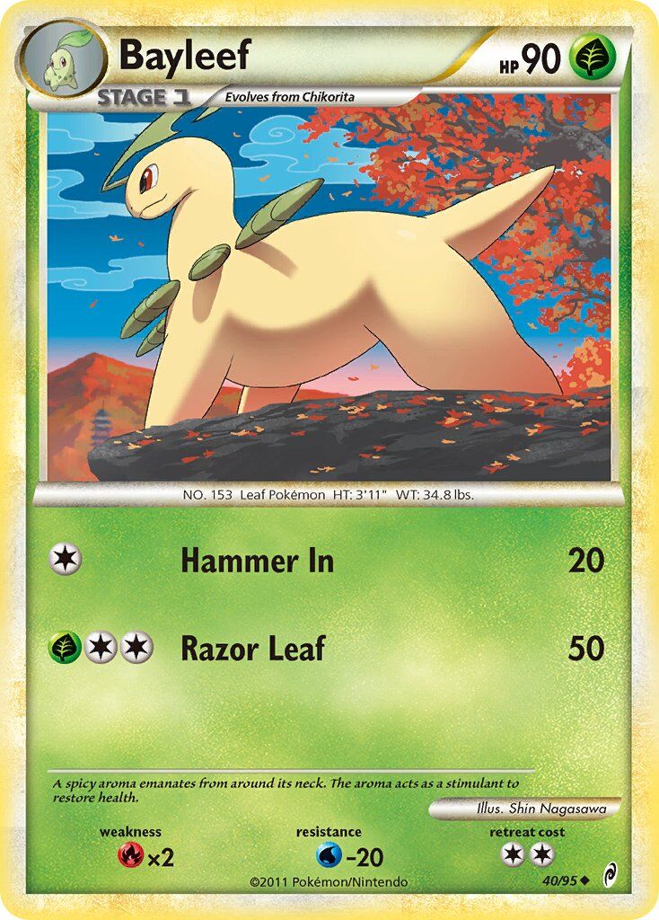 Bayleef - 40/95 - EN Bayleef - 40/95 - EN