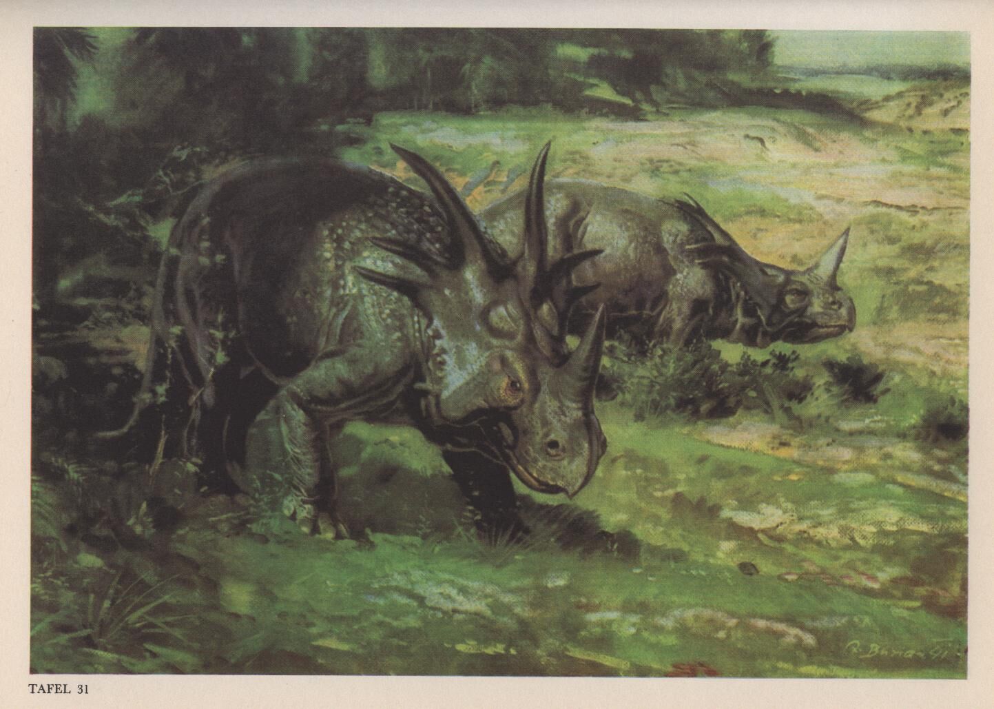 Tiere der Urzeit 1970