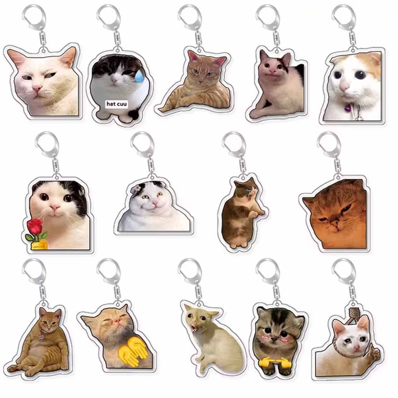 Meme Cat Schlüsselanhänger (Zufallsauswahl) Meme Cat Schlüsselanhänger (Zufallsauswahl)