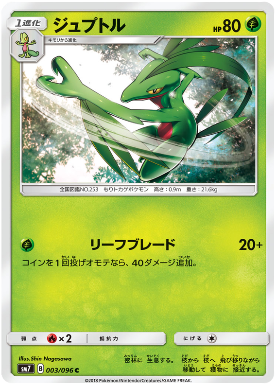Grovyle - sm7 003/096 - JP