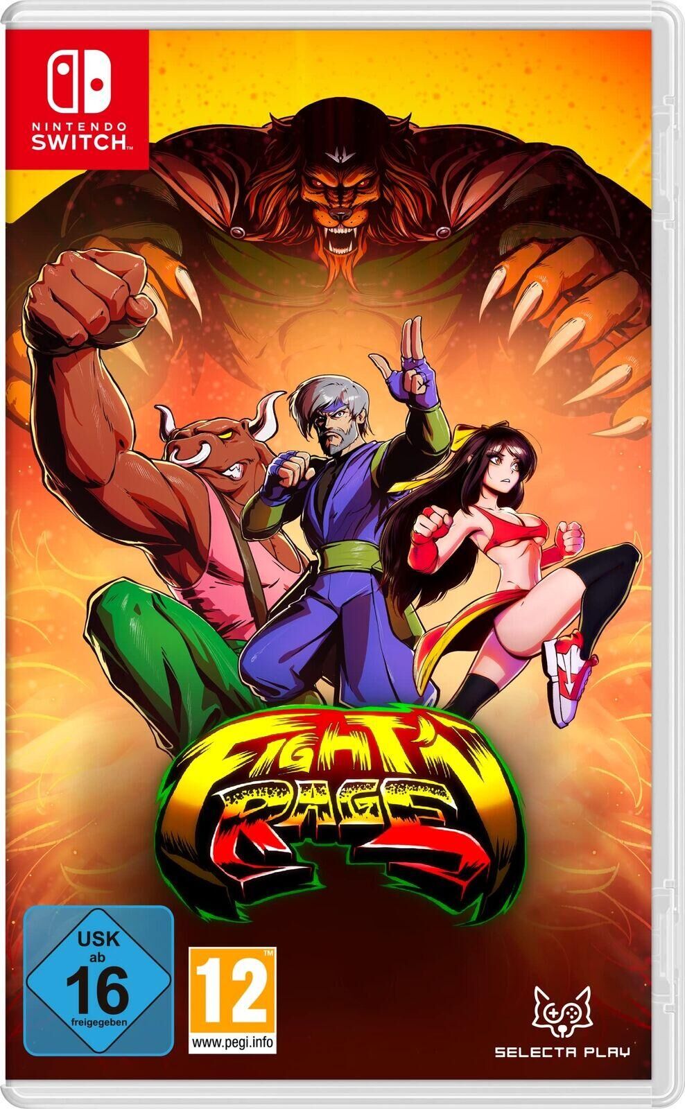 Fight 'n Rage: 5th Anniversary Edition - Nintendo Switch - EN