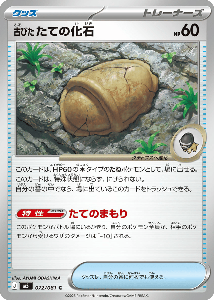 Antique Shield Fossil - M5 072/081 - JP