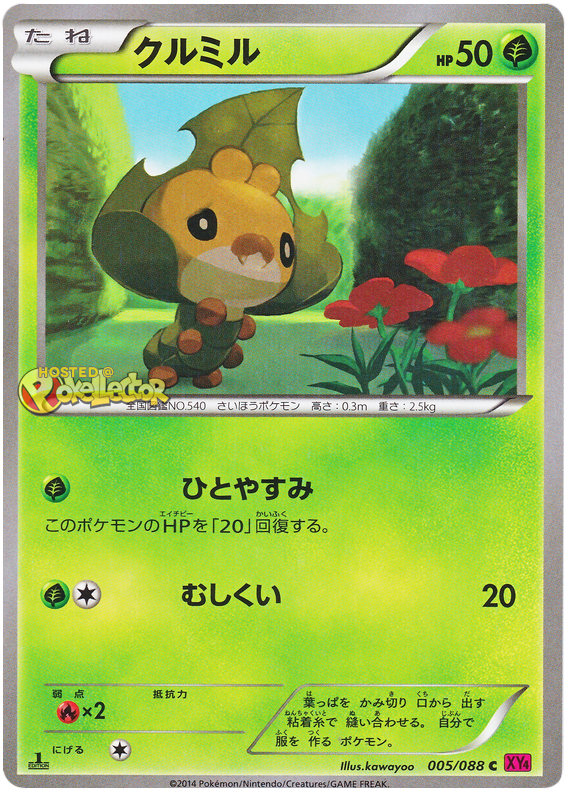 Sewaddle - XY4 005/088 - JP