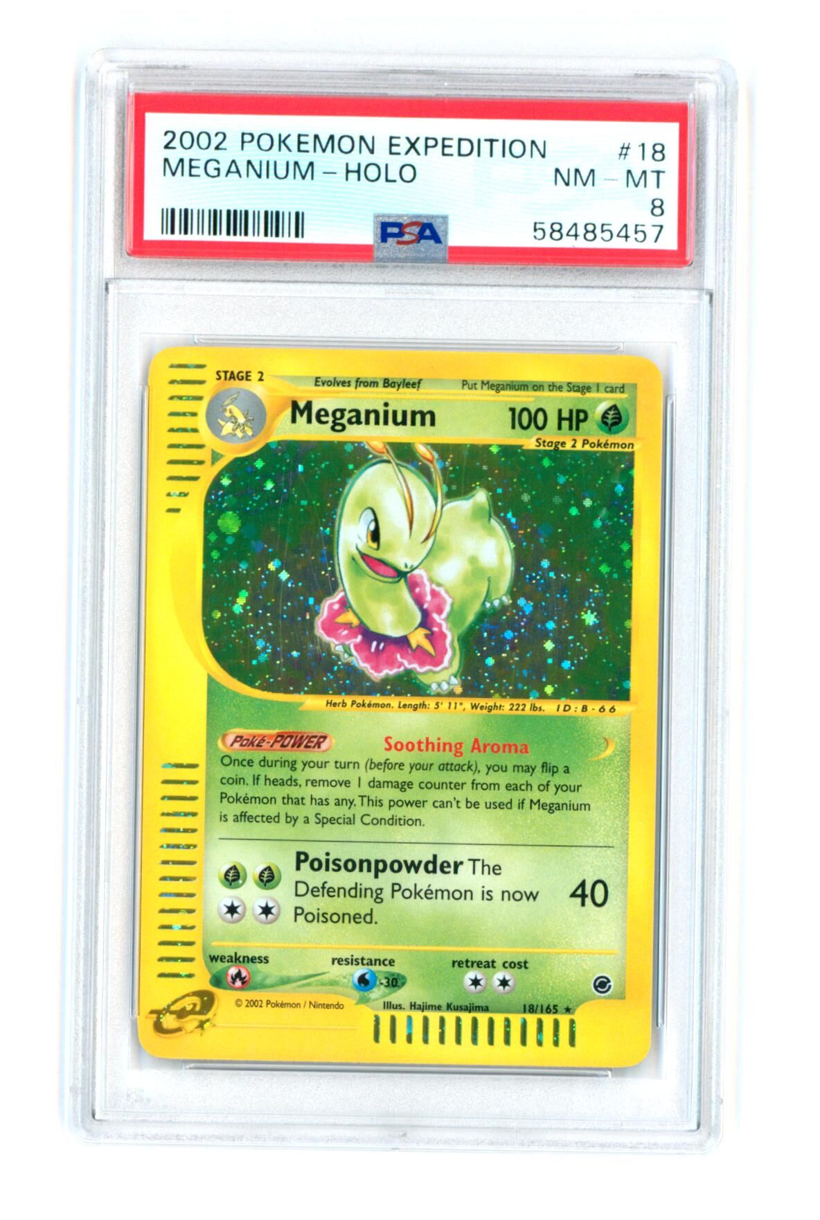 Meganium 18/165 - Expedition - Holo - PSA 8 NM-MT - Pokémon