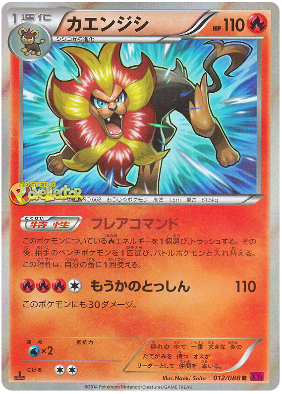 Pyroar - XY4 012/088 - JP Pyroar - XY4 012/088 - JP