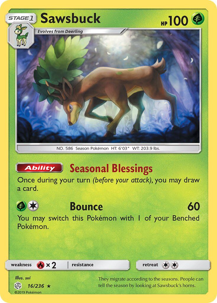 Sawsbuck - 16/236 - EN