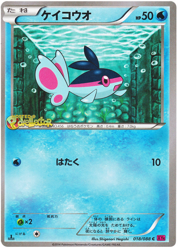 Finneon - XY4 018/088 - JP Finneon - XY4 018/088 - JP