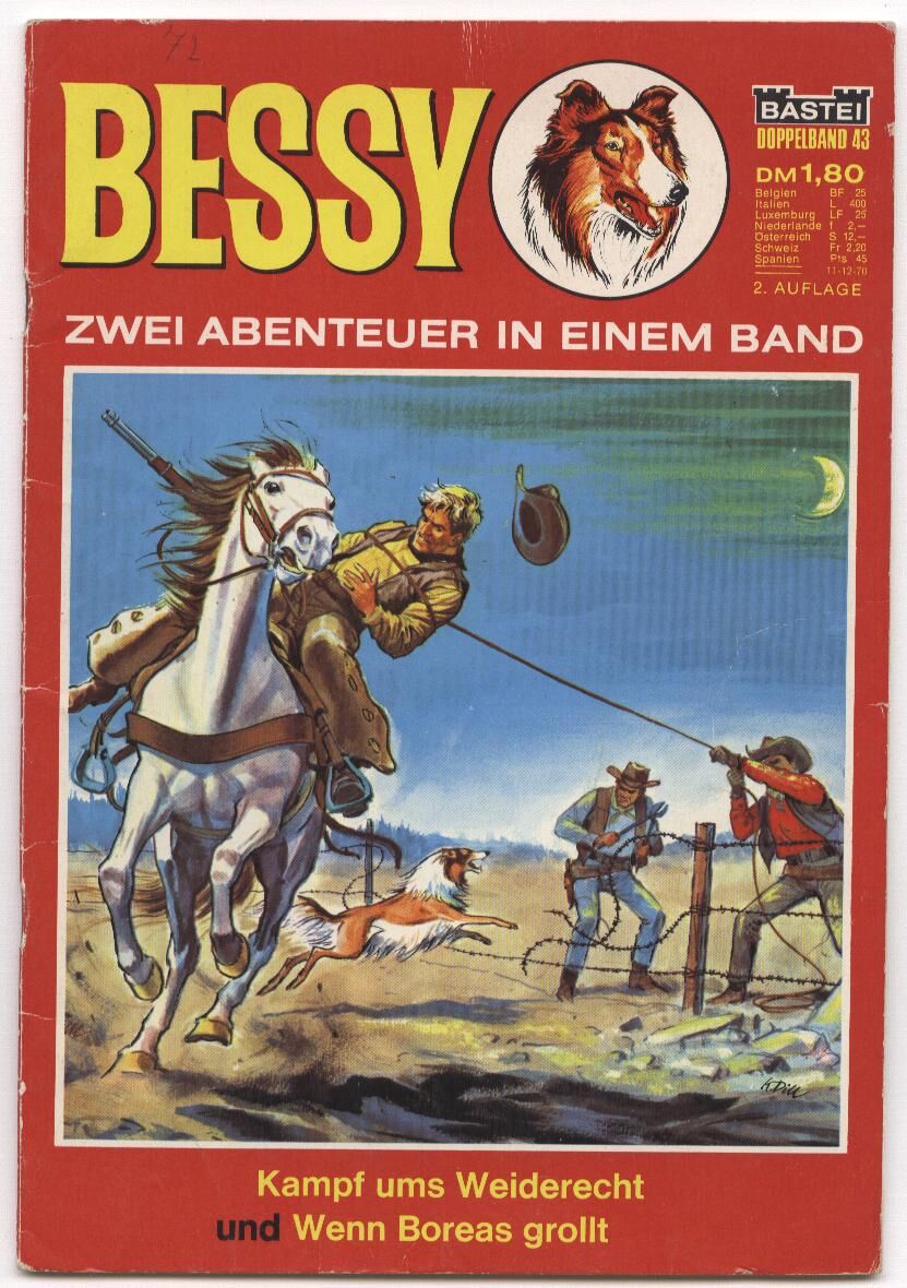 Bessy Doppelband #43