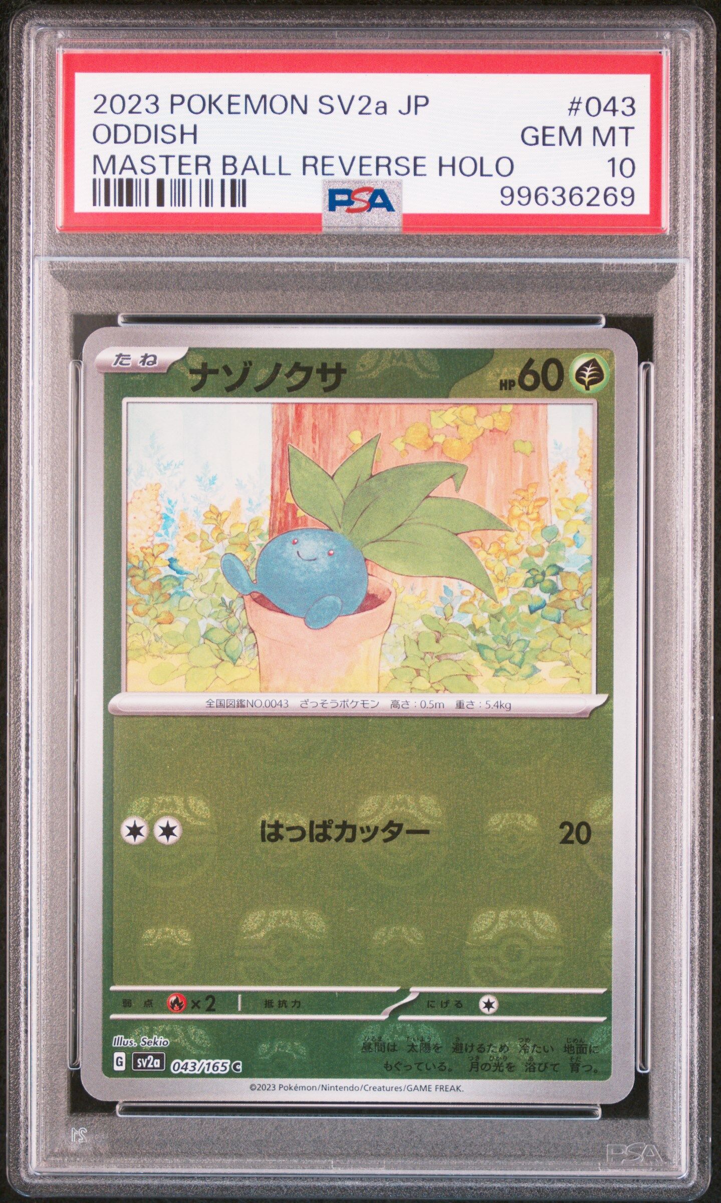 2023 POKEMON JAPANESE SV2A-POKEMON 151 #043 ODDISH MASTER BALL REVERSE HOLO - PSA 10 GEM-MT - Pokémon 2023 POKEMON JAPANESE SV2A-POKEMON 151 #043 ODDISH MASTER BALL REVERSE HOLO - PSA 10 GEM-MT - Pokémon
