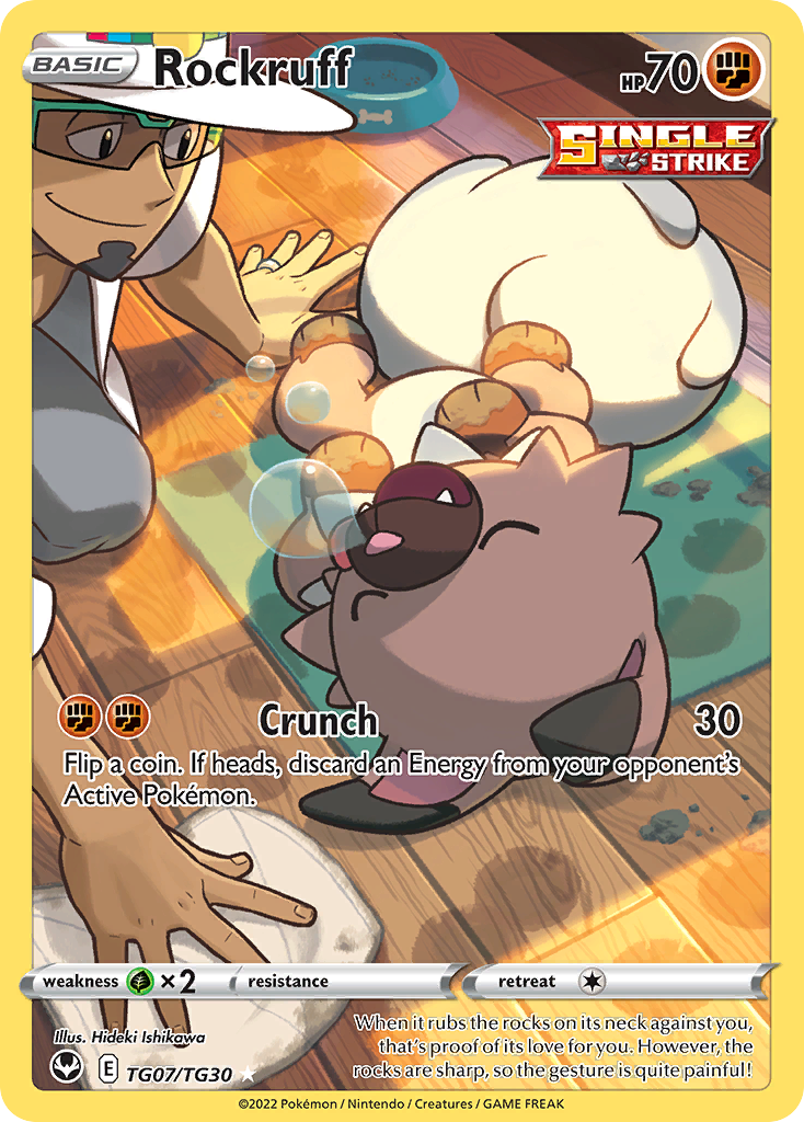 Rockruff - TG07/TG30 - EN