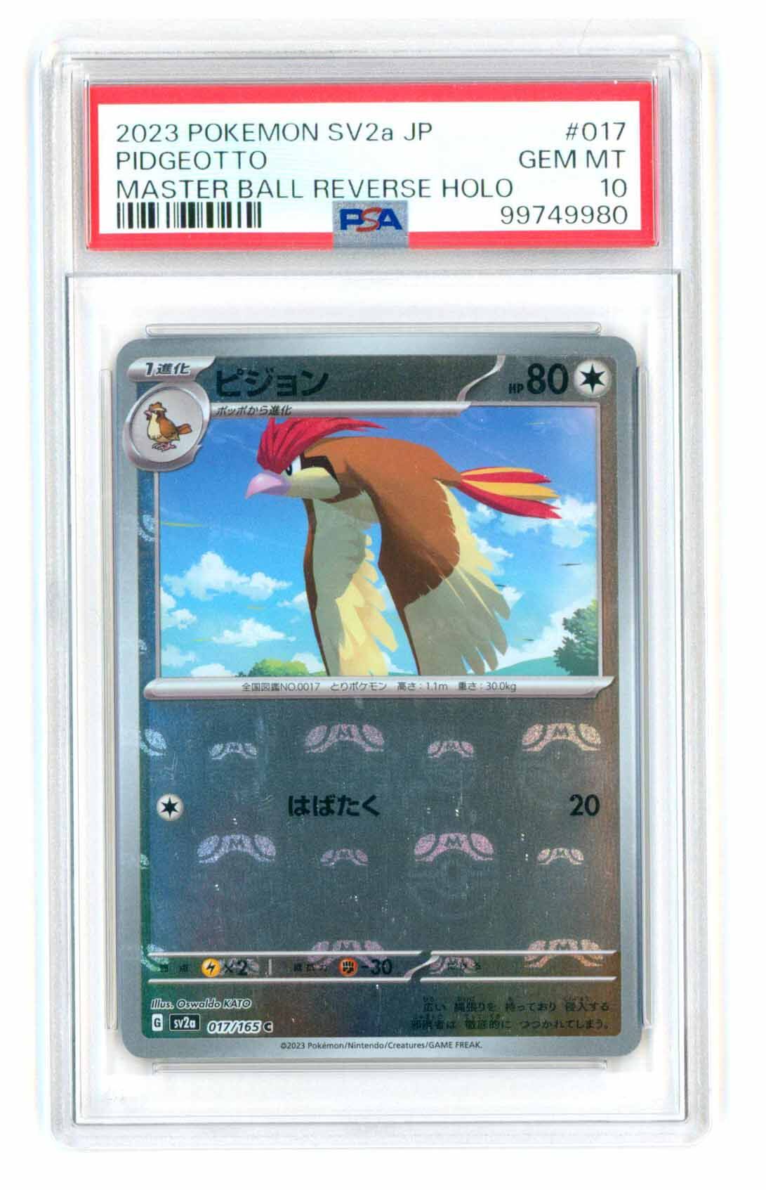 Pidgeotto 017/165 - sv2a Pokemon 151 - Master Ball Reverse Holo - PSA 10 GEM-MT - Pokémon