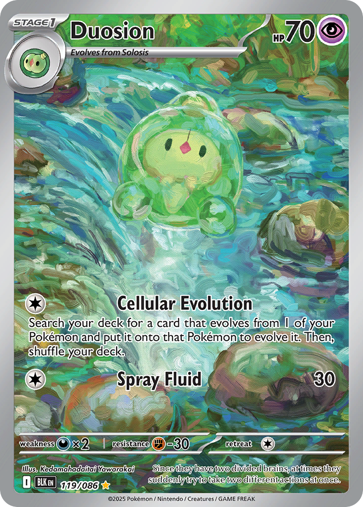 Duosion - 119/086 - EN Duosion - 119/086 - EN