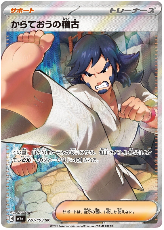 Black Belt's Training - M2a 220/193 - JP Black Belt's Training - M2a 220/193 - JP