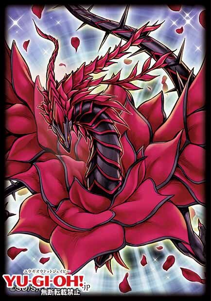 Duelist Card Sleeves: Signer Dragon Set Box - Yu-Gi-Oh! - JPN