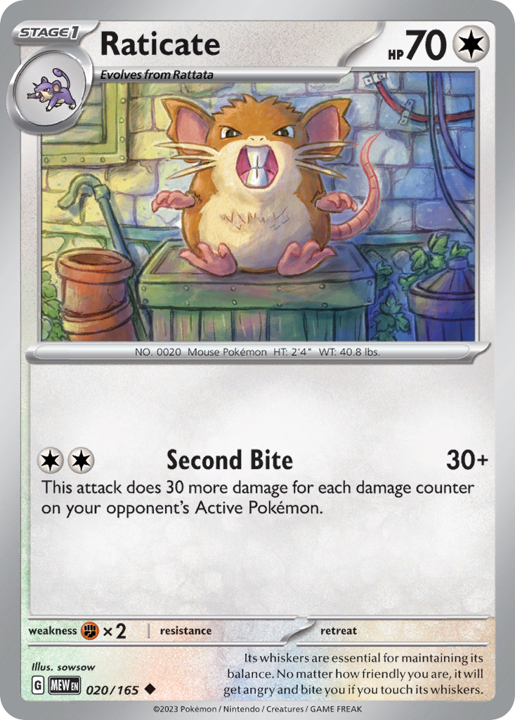 Raticate - 020/207 - EN Raticate - 020/207 - EN