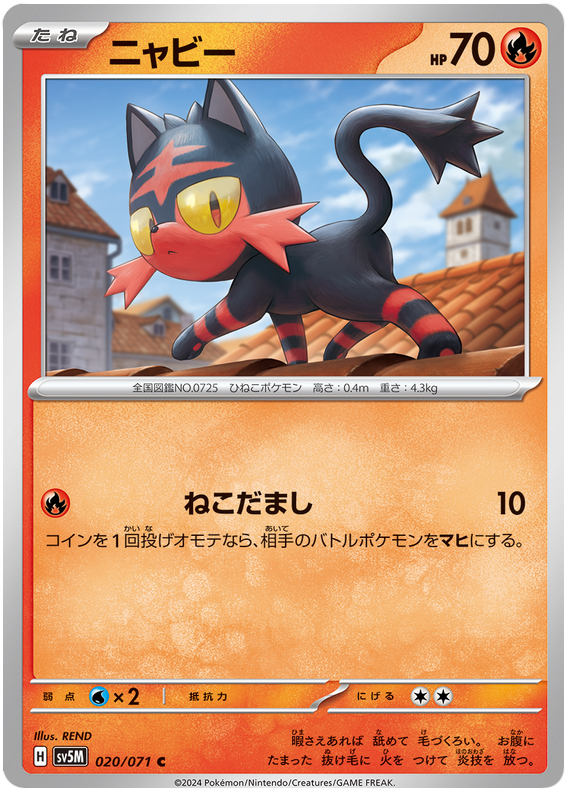 Litten - sv5M 020/071 - JP