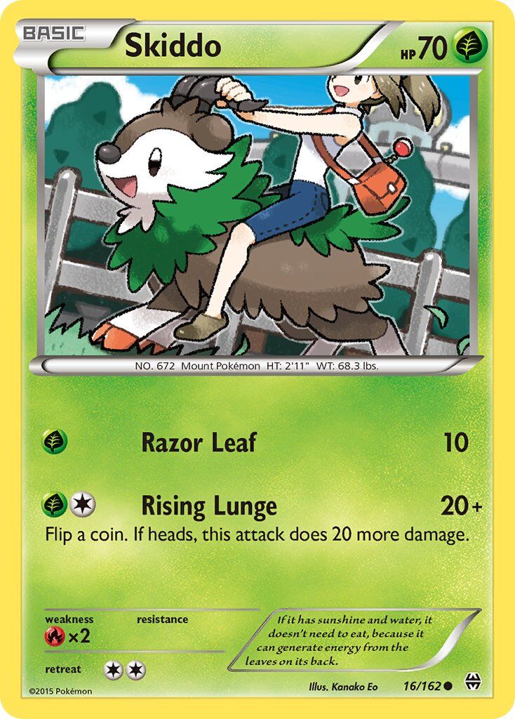 Skiddo - 16/162 - EN