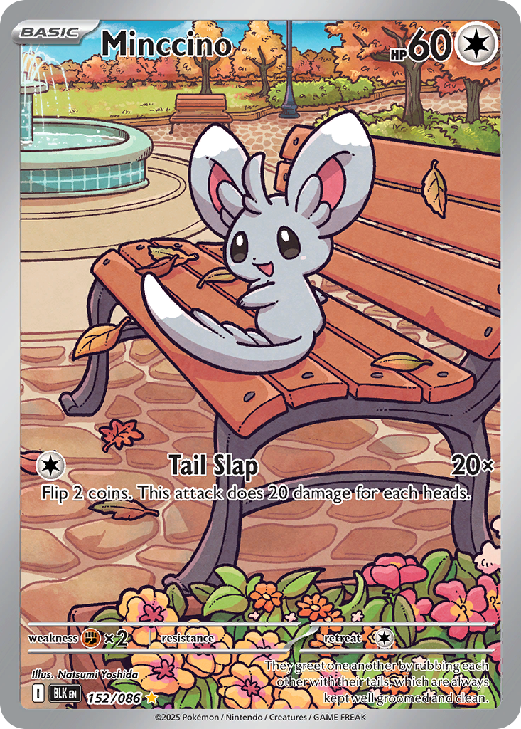 Minccino - 152/086 - EN Minccino - 152/086 - EN