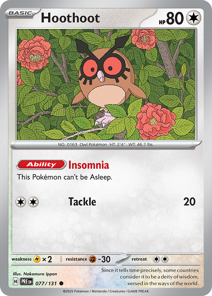 Hoothoot - 077/131 - EN Hoothoot - 077/131 - EN