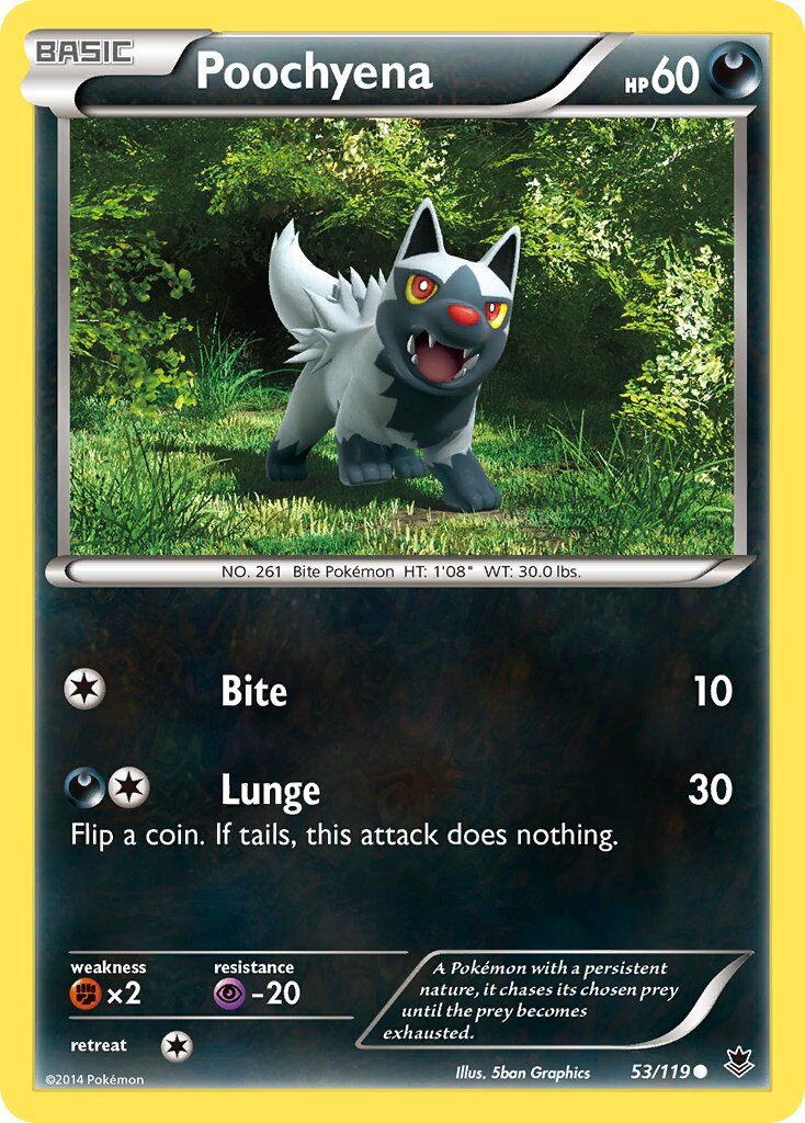 Poochyena - 53/119 - EN